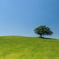 Rural isolation in Ireland Image